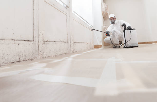 24/7 Emergency Basement Mold Removal experts in Millersburg, PA