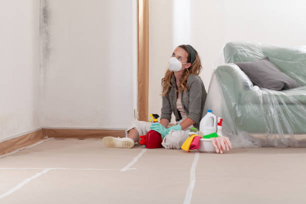 Reliable Basement Mold Removal contractor in Millersburg, PA by WQB Mold Removal